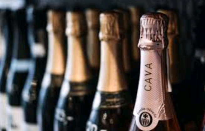 Category Cavas y Champanes Image
